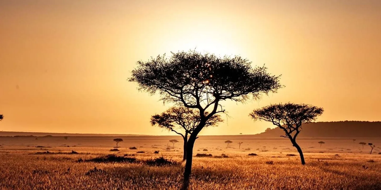 Central African Republic