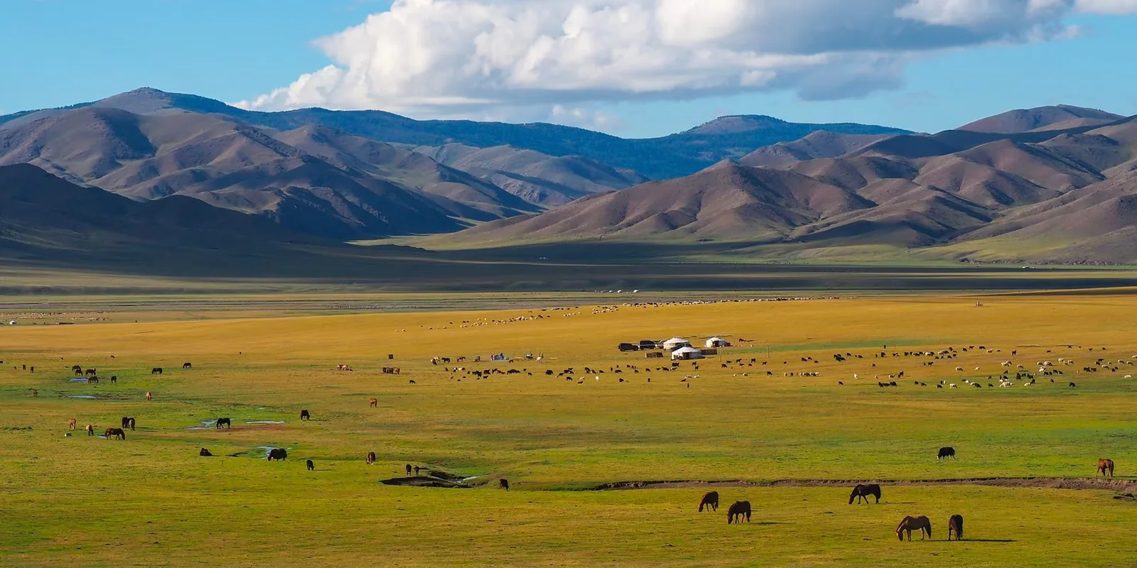 Mongolia